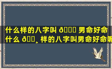 什么样的八字叫 🐞 男命好命（什么 🌸 样的八字叫男命好命呢）